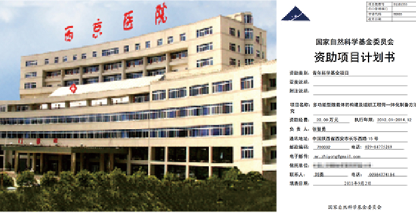 2011.jpg