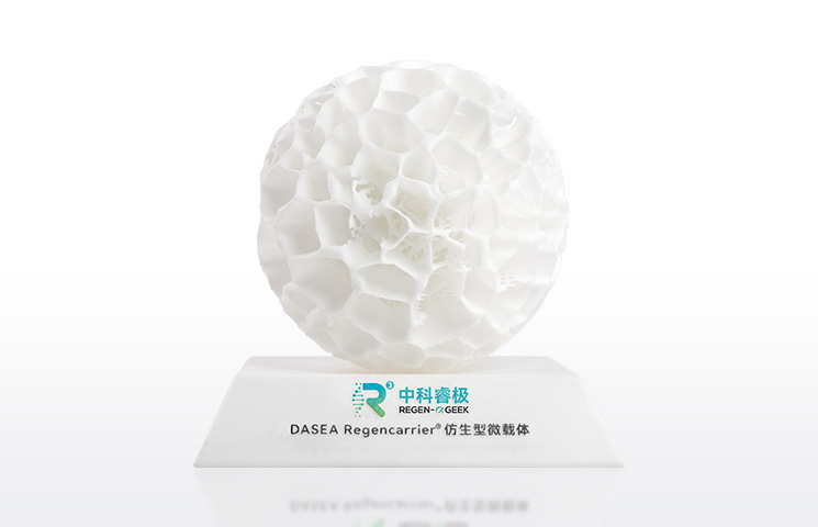 模型.jpg