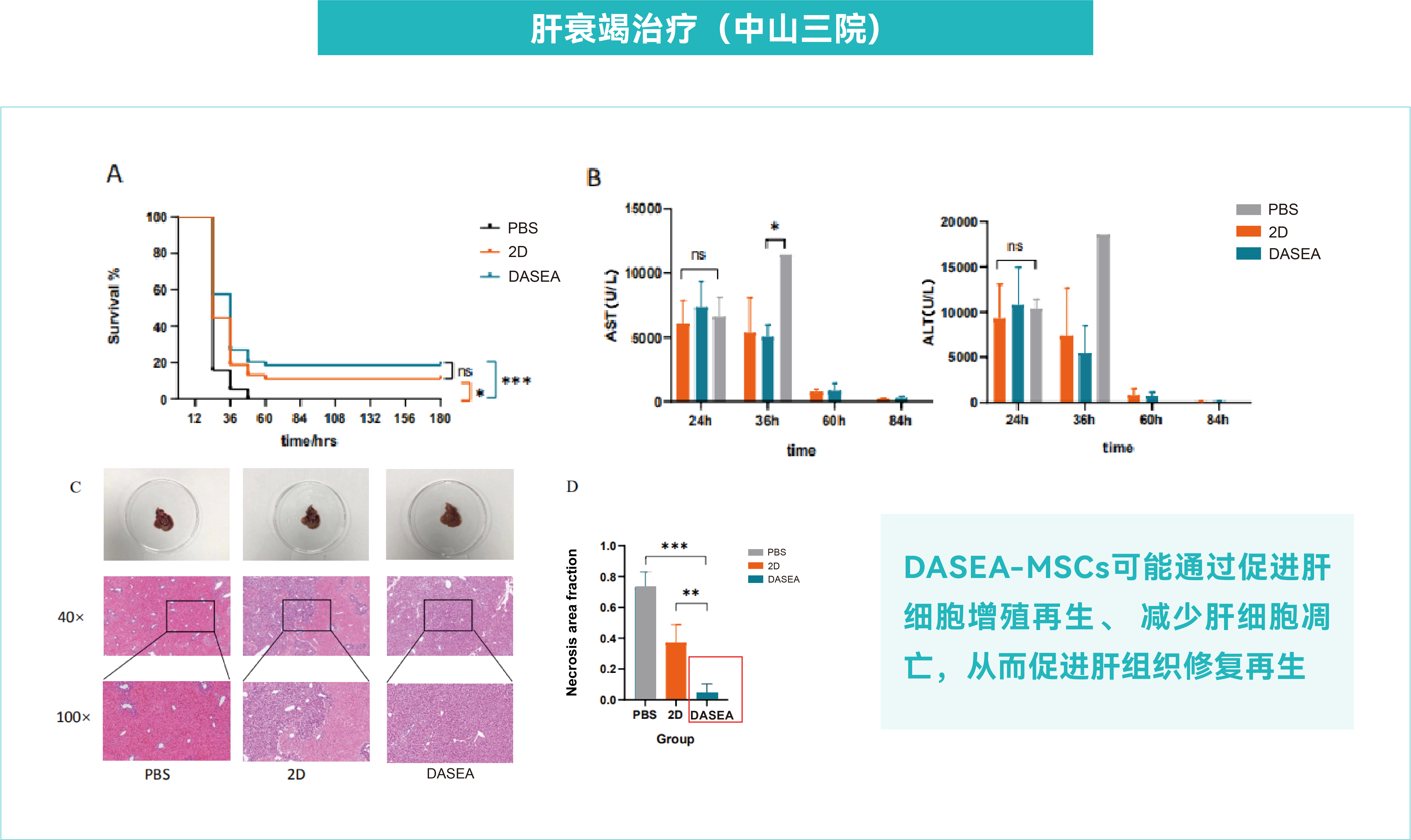 三维干细胞大规模制备应用方案-06(2).png