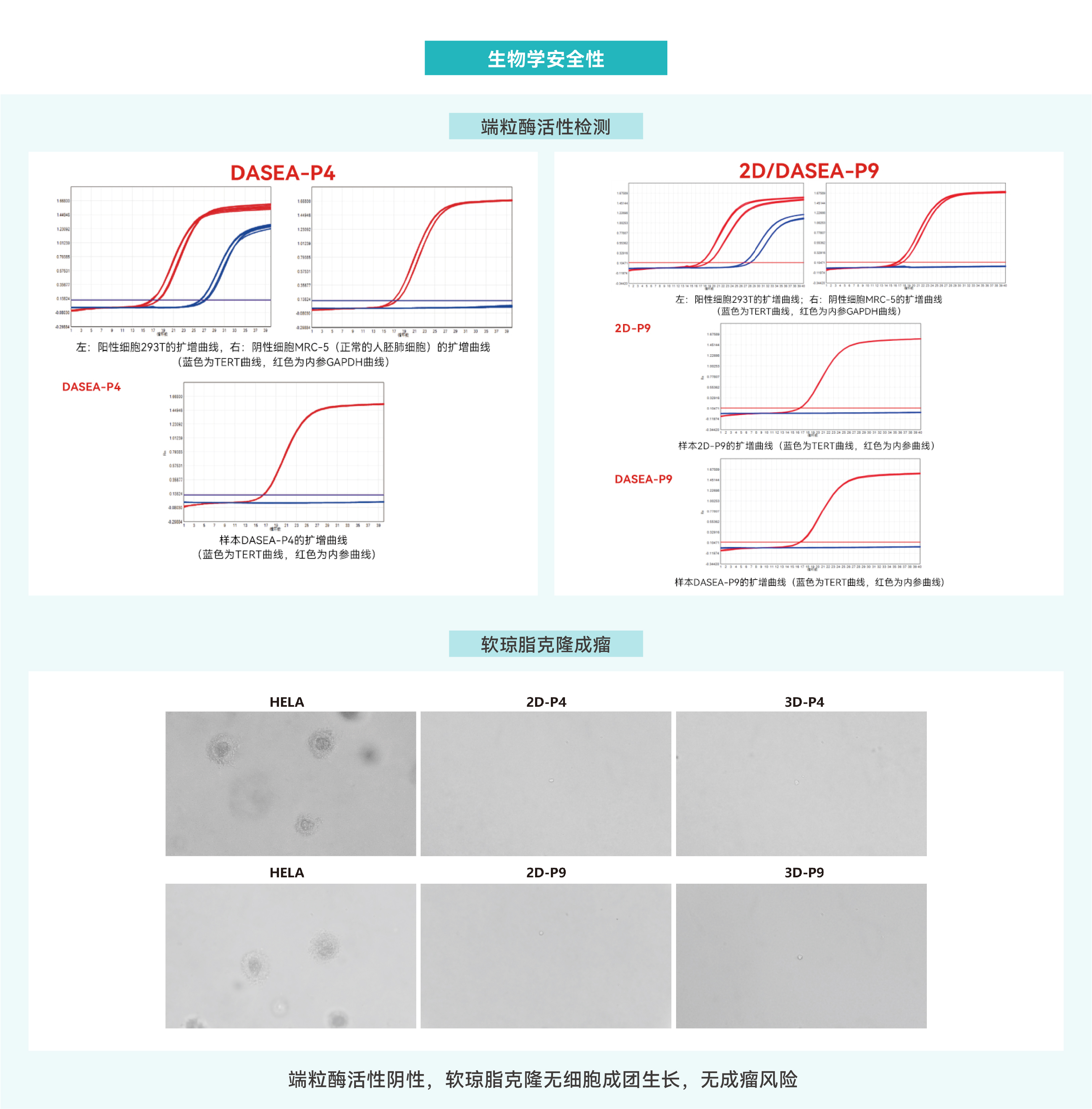 三维干细胞大规模制备应用方案-03(1).jpg
