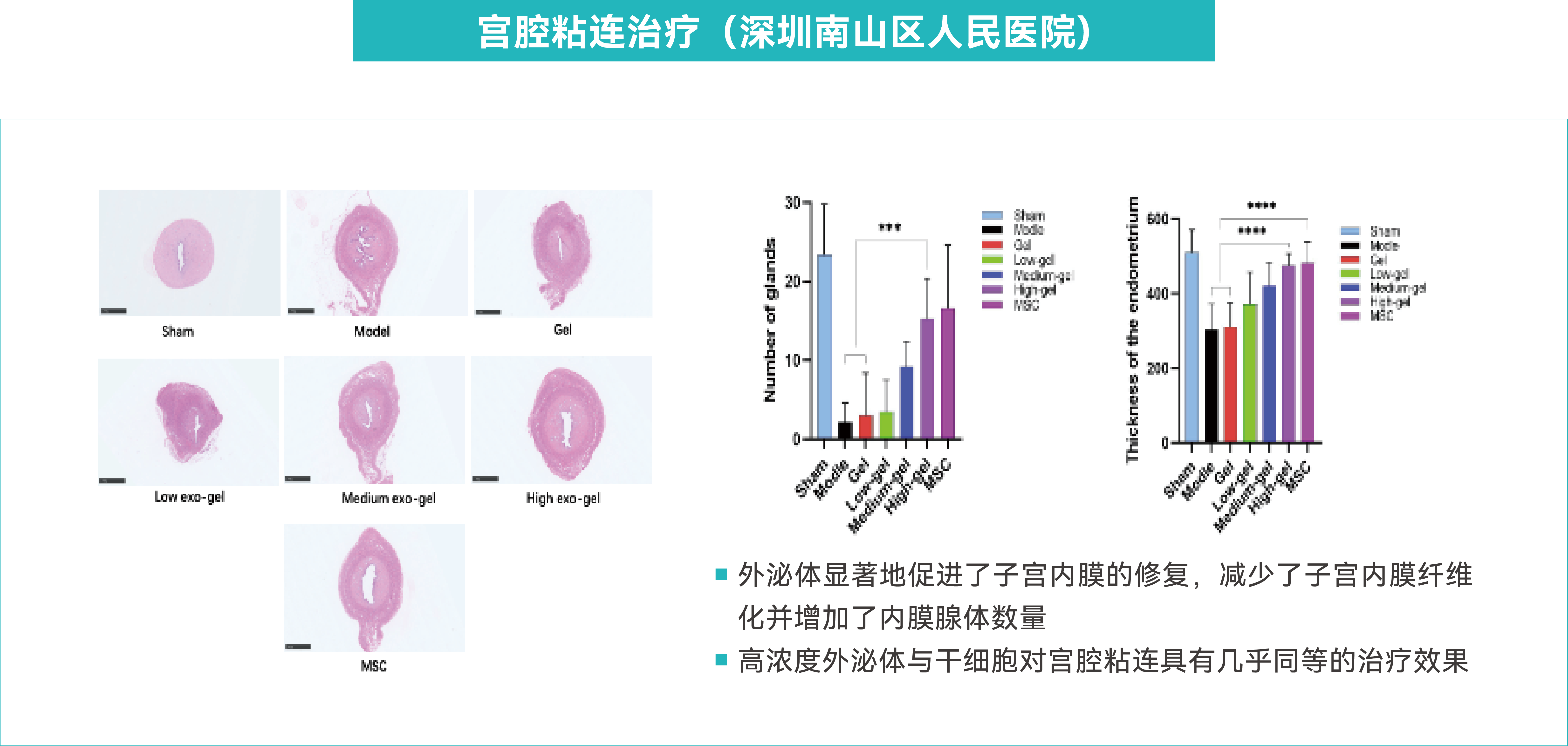 三维干细胞大规模制备应用方案-07(2).png