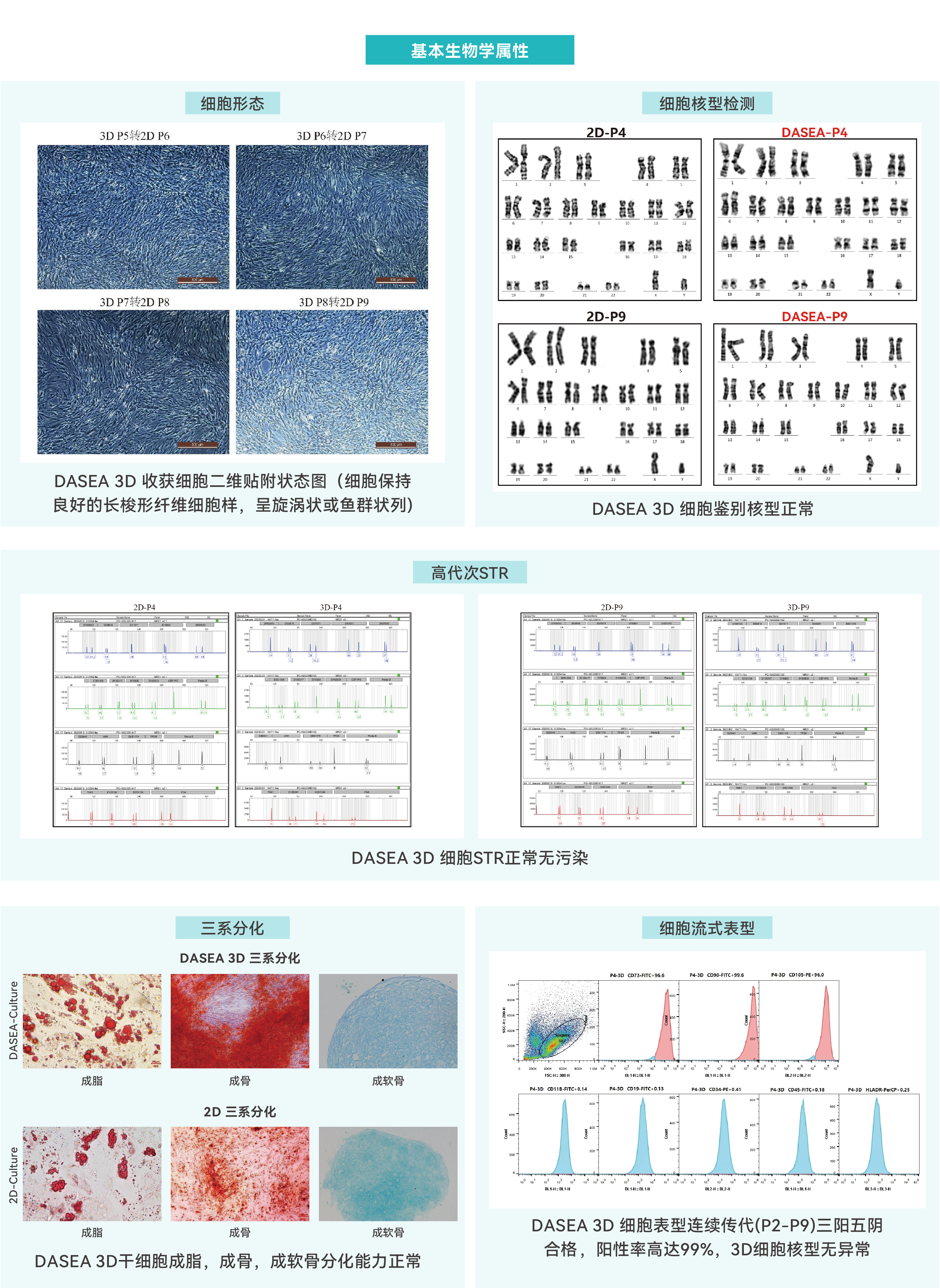 三维干细胞大规模制备应用方案-02(9).jpg