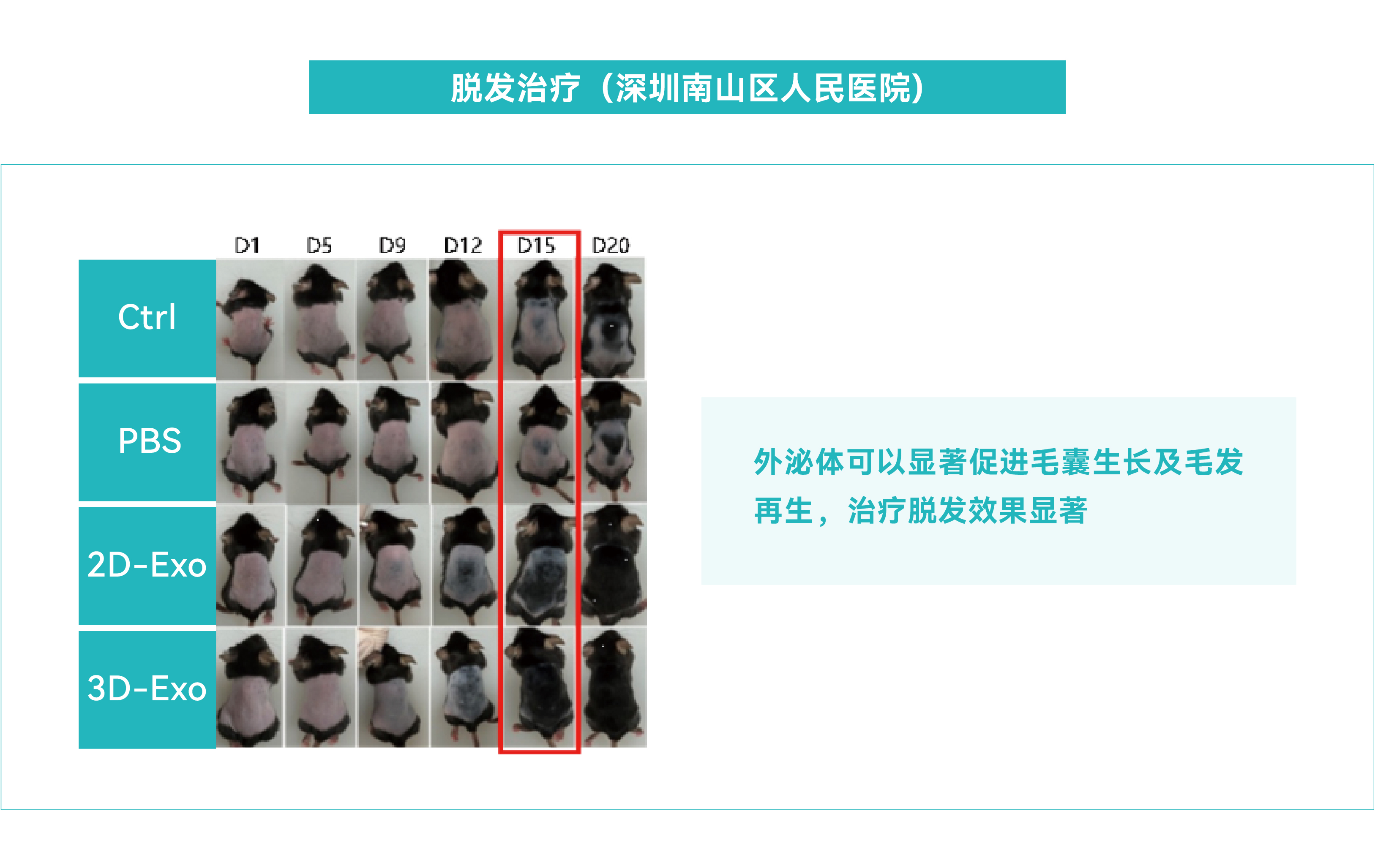 外泌体大规模制备应用方案-03.jpg