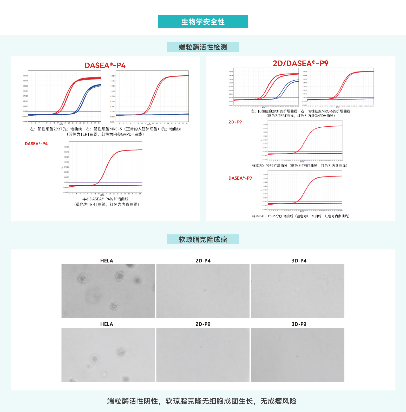 三维干细胞大规模制备应用方案-03.jpg