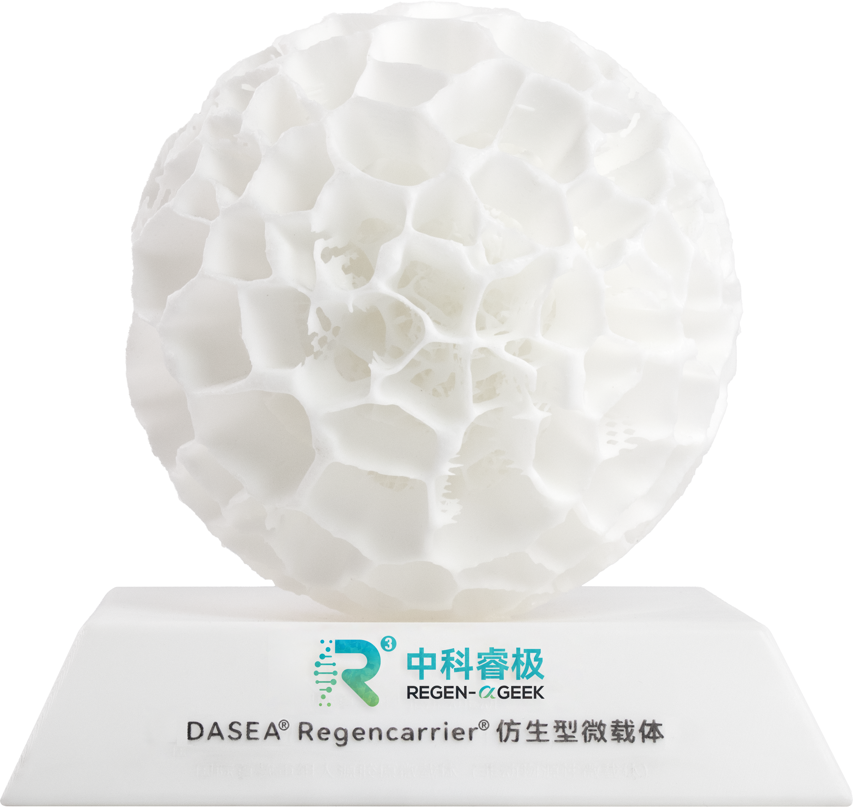 微载体模型-正面.png